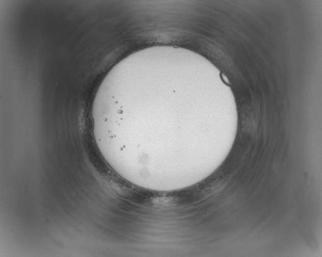 X0000074210216200609221950