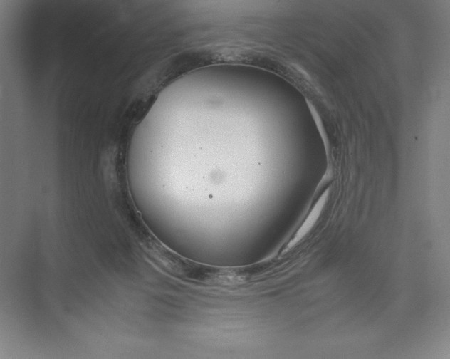 X0000074210217200609221950