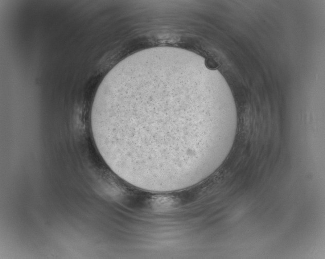 X0000074210218200609221950