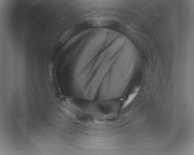 X0000074210219200609221950