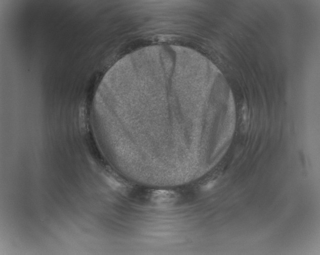 X0000074210222200609221950