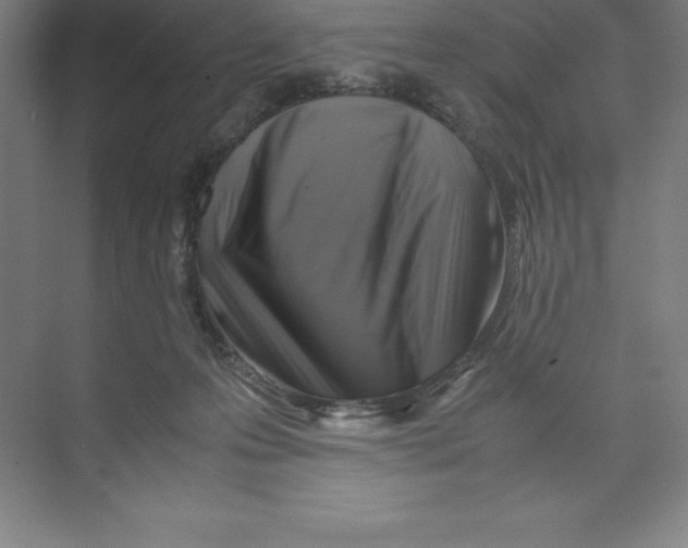 X0000074210223200609221950