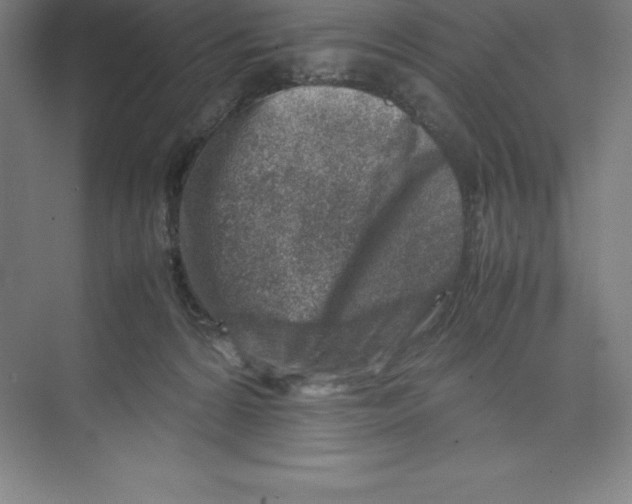 X0000074210224200609221950