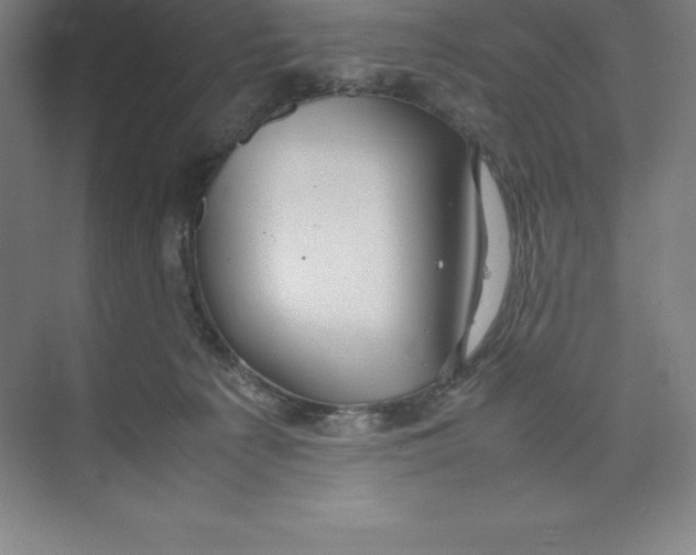 X0000074210225200609221950