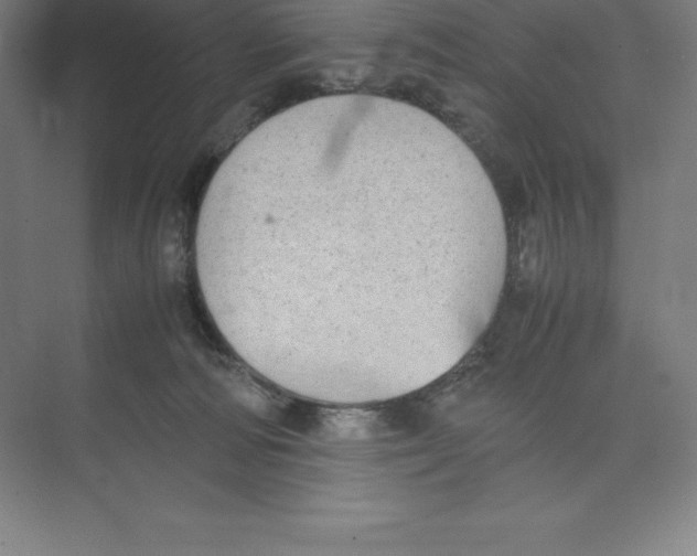 X0000074210226200609221950