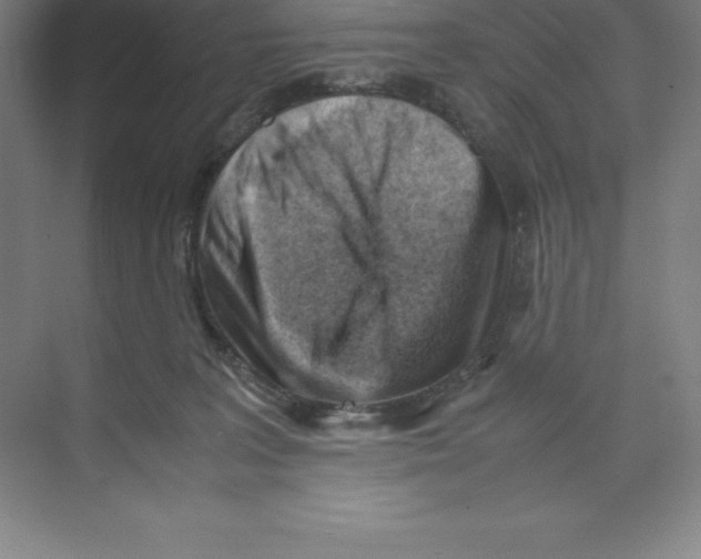 X0000074210227200609221950