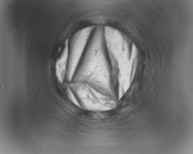 X0000074210229200609221950