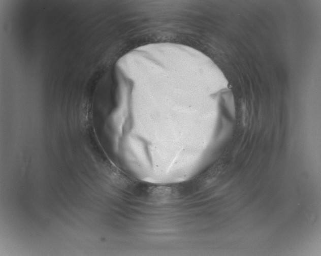 X0000074210230200609221950