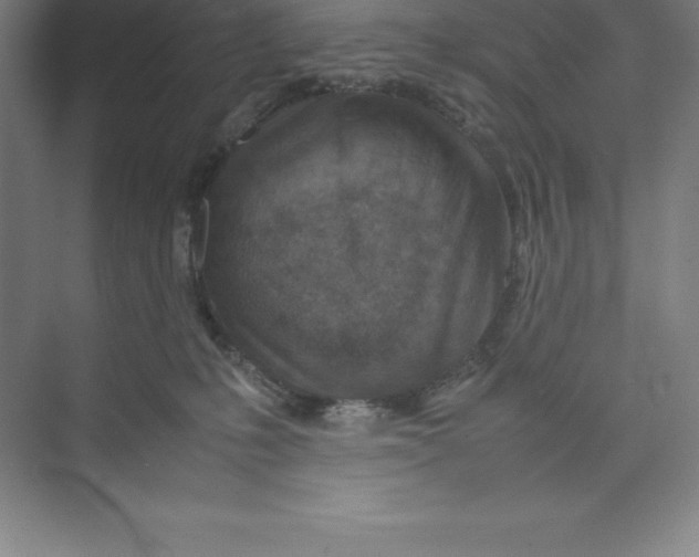 X0000074210231200609221949