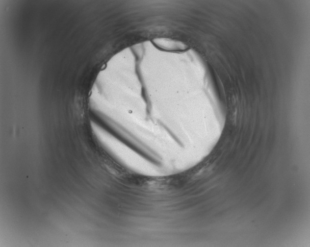 X0000074210232200609221949