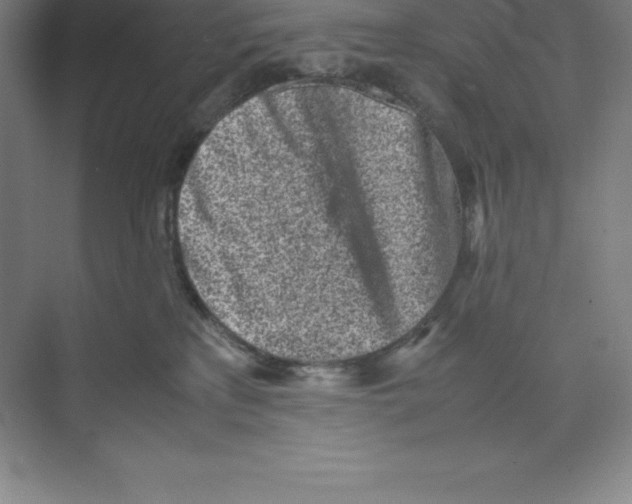 X0000074210233200609221949