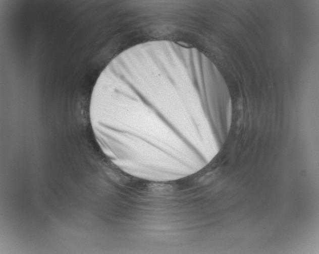 X0000074210234200609221949