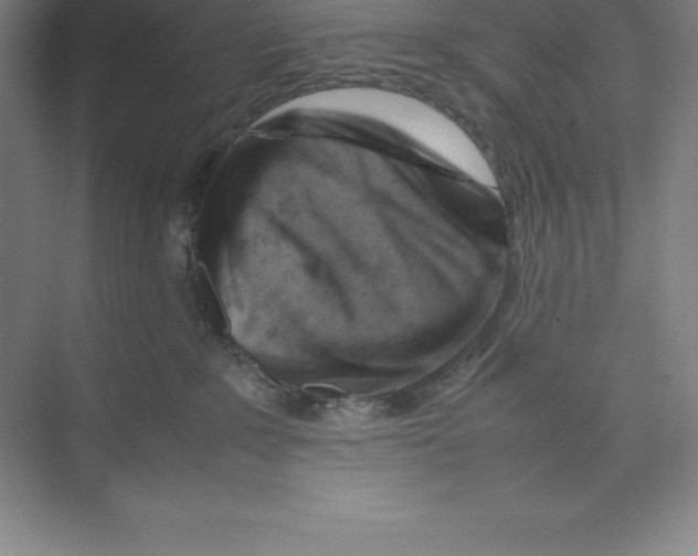 X0000074210235200609221949