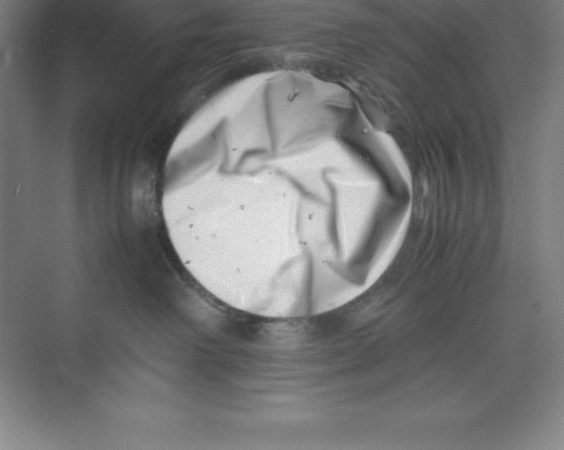 X0000074210238200609221949