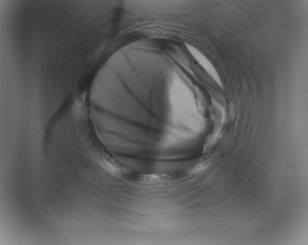 X0000074210239200609221949