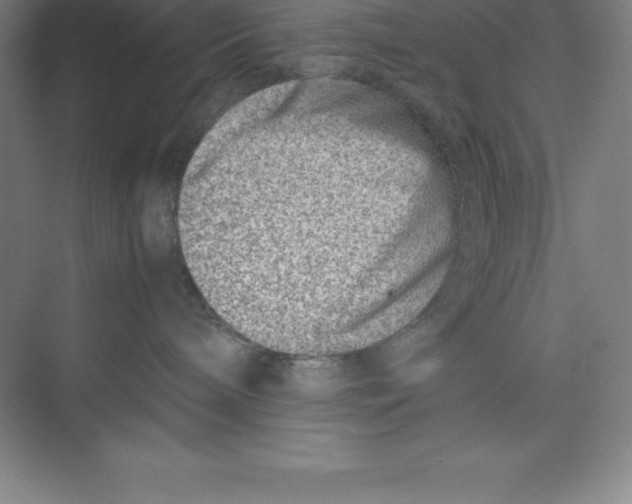 X0000074210240200609221949