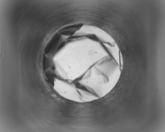 X0000074210241200609221949