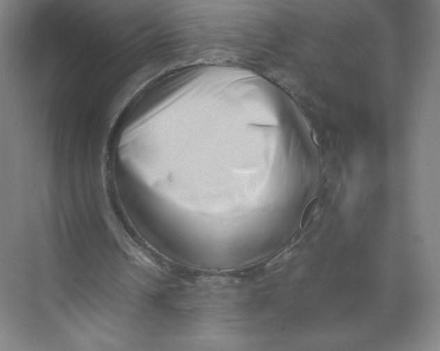 X0000074210242200609221949