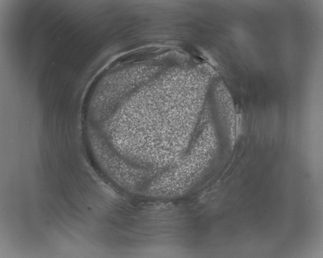 X0000074210243200609221949