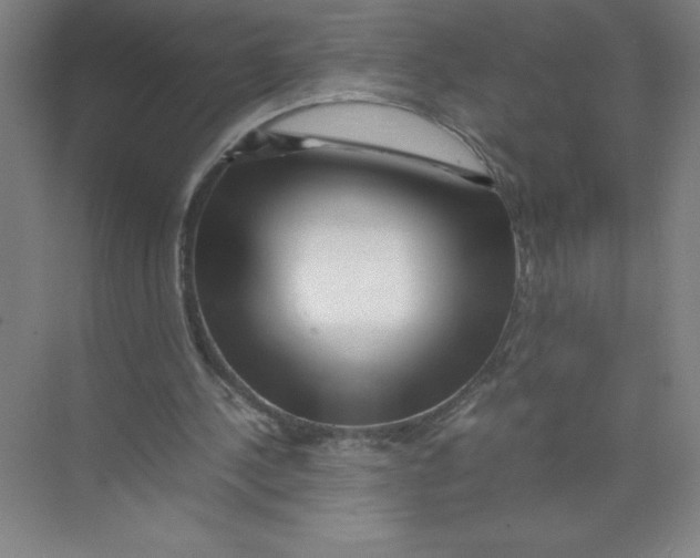 X0000074210244200609221949