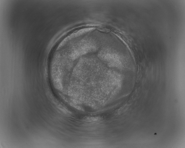 X0000074210247200609221949