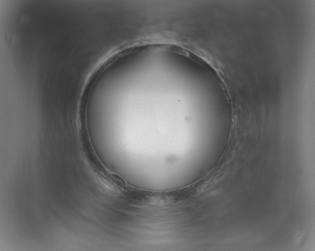 X0000074210248200609221949