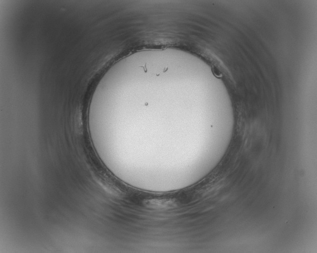 X0000074210251200609221949