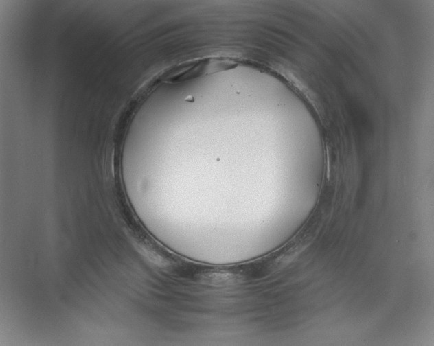 X0000074210253200609221949