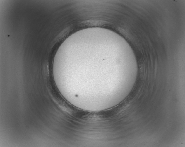 X0000074210254200609221949