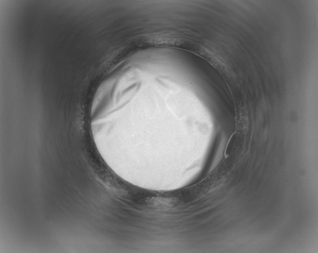 X0000074210255200609221949