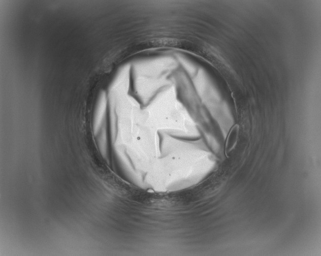 X0000074210259200609221949