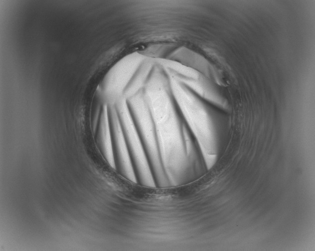 X0000074210260200609221949