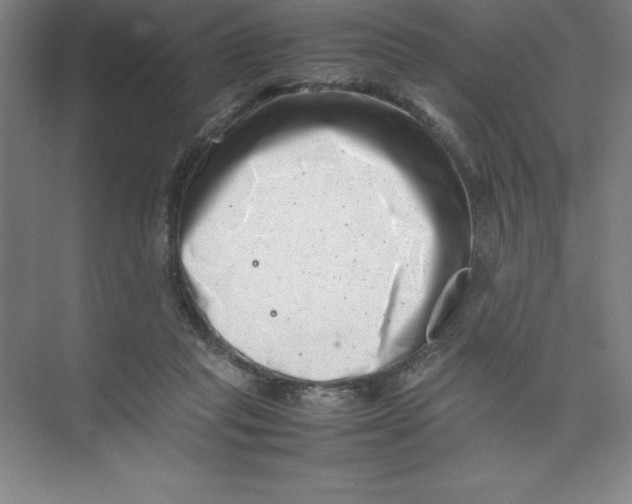 X0000074210261200609221949