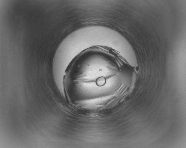 X0000074210264200609221949