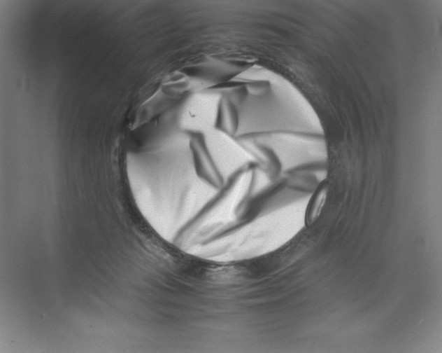 X0000074210269200609221949