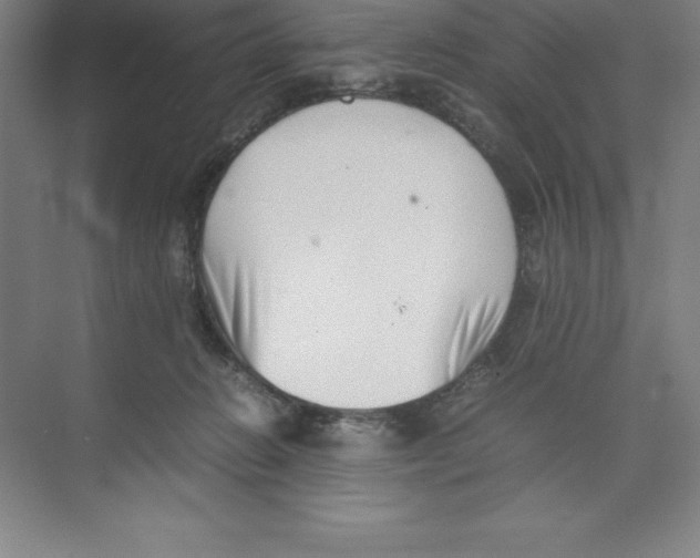 X0000074210270200609221949