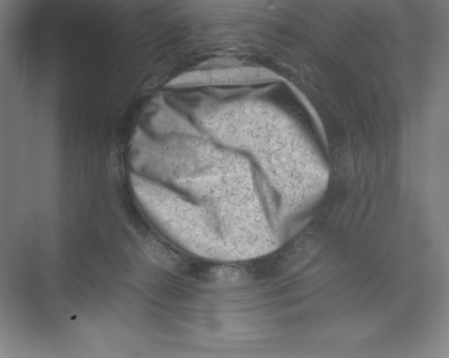 X0000074210272200609221949