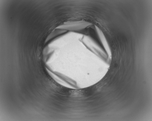 X0000074210273200609221949