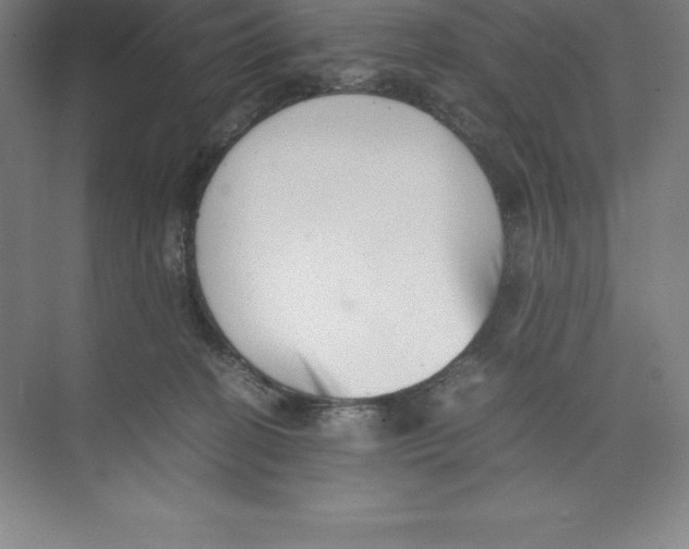 X0000074210274200609221949