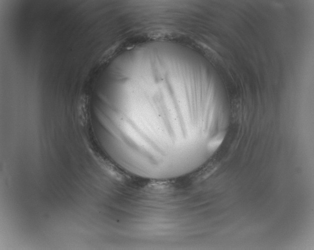 X0000074210280200609221949