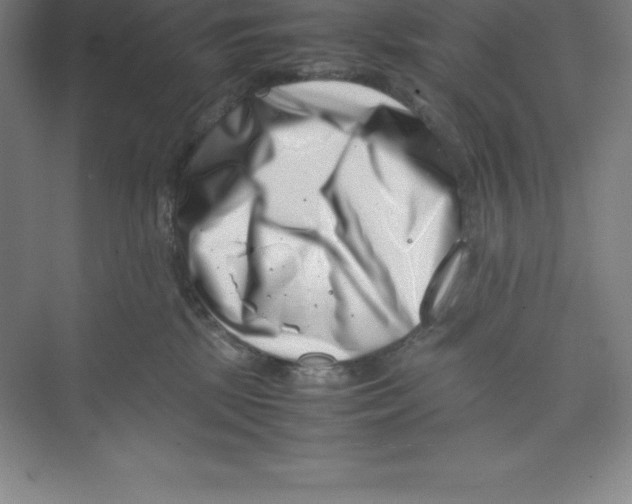 X0000074210281200609221949