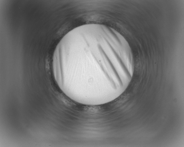 X0000074210282200609221949