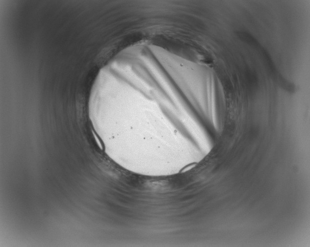 X0000074210283200609221949