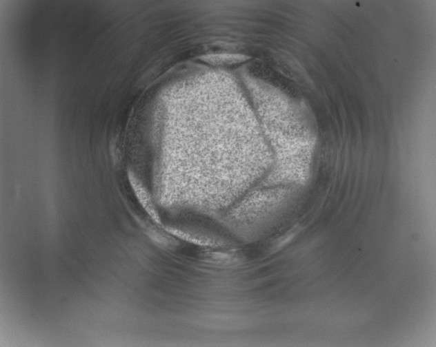 X0000074210285200609221949