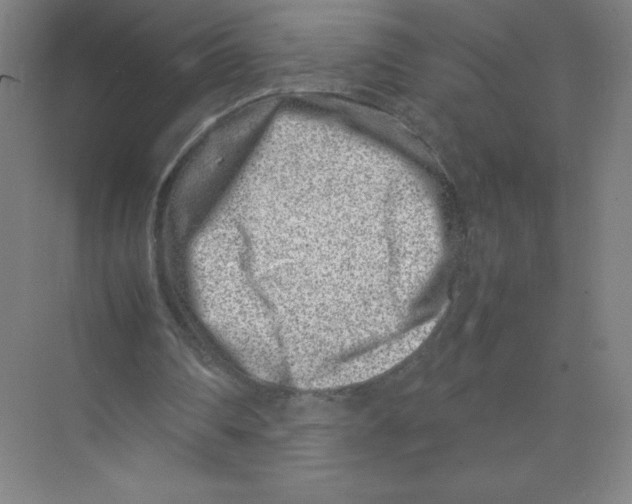 X0000074210290200609221948