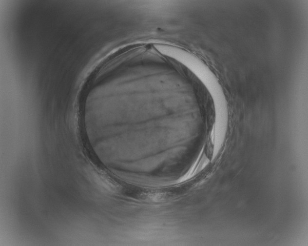 X0000074210295200609221948