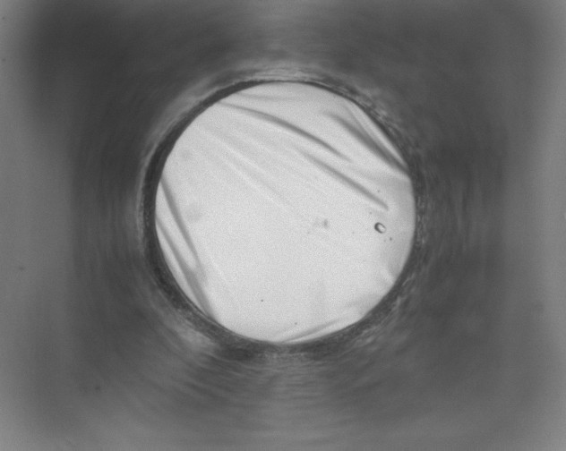 X0000074210296200609221948