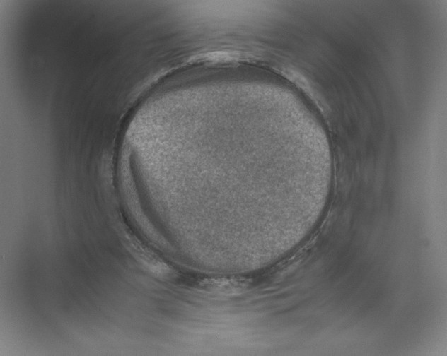 X0000074210297200609221948