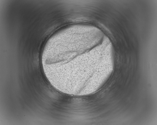 X0000074210298200609221948