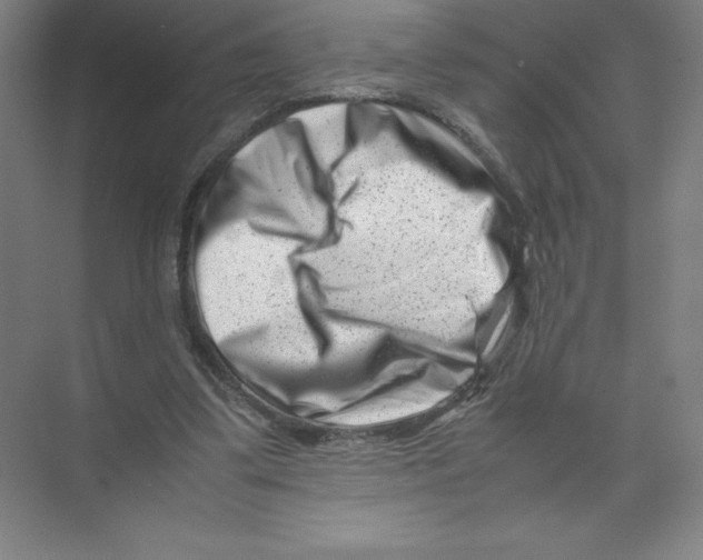 X0000074210299200609221948